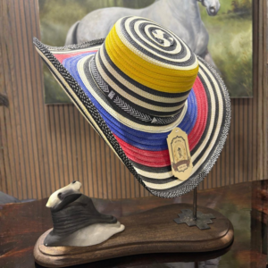 Sombrero Tradicional Colombiano Multicolor de Ala Ancha